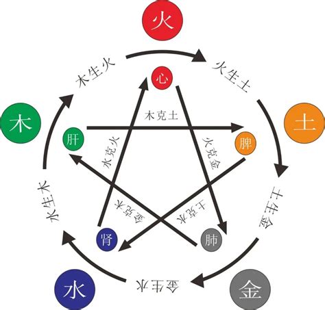 八字 缺木|八字五行缺木怎么办 五行缺木忌讳什么